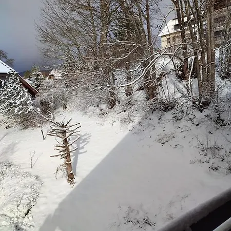 Apartamento Feldbergsicht