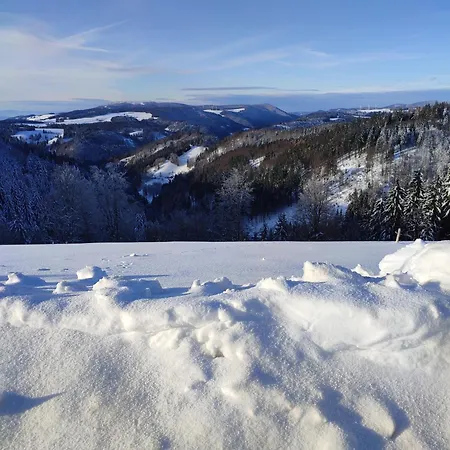 Feldbergsicht Lenzkirch