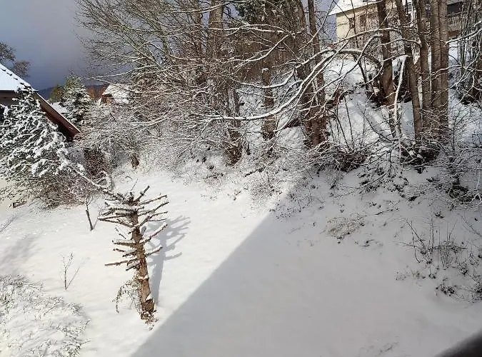 Διαμέρισμα Feldbergsicht