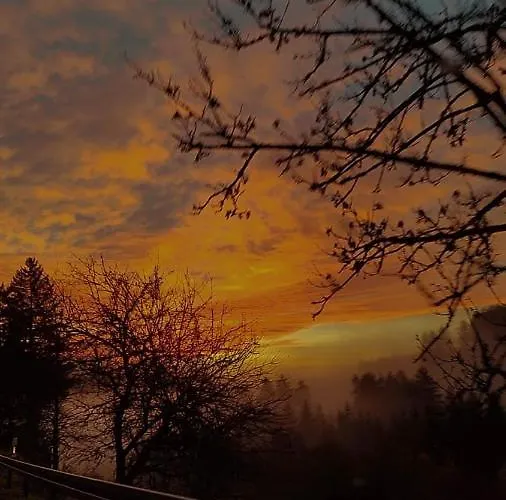 Διαμέρισμα Feldbergsicht *