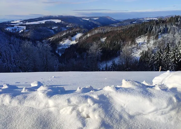 Feldbergsicht Lenzkirch